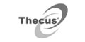 Abrir website Thecus